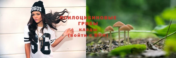 гашик Алексеевка