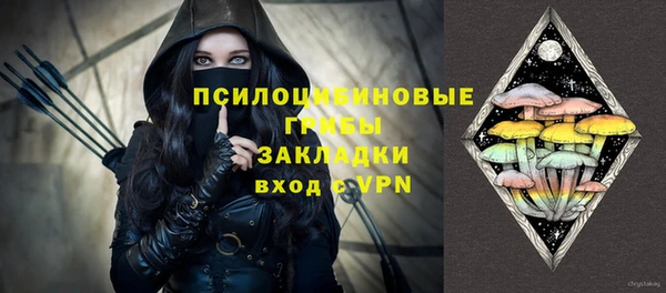 твердый Алексин