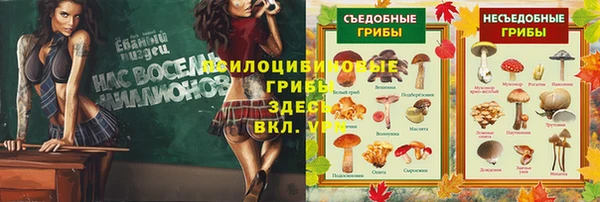 гашик Алексеевка